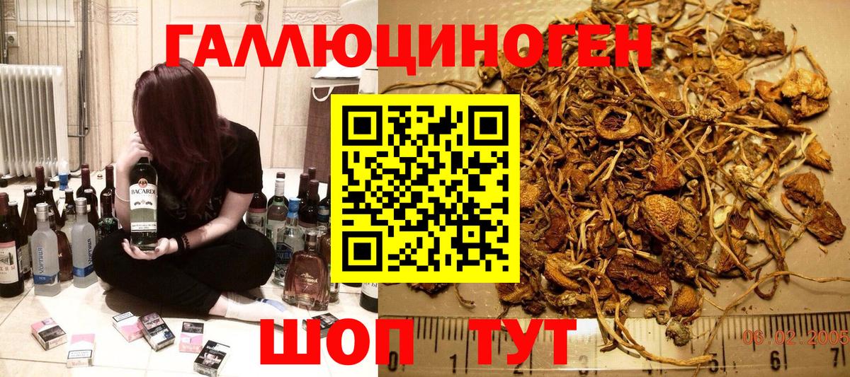 Псилоцибиновые грибы GOLDEN TEACHER Волгоград